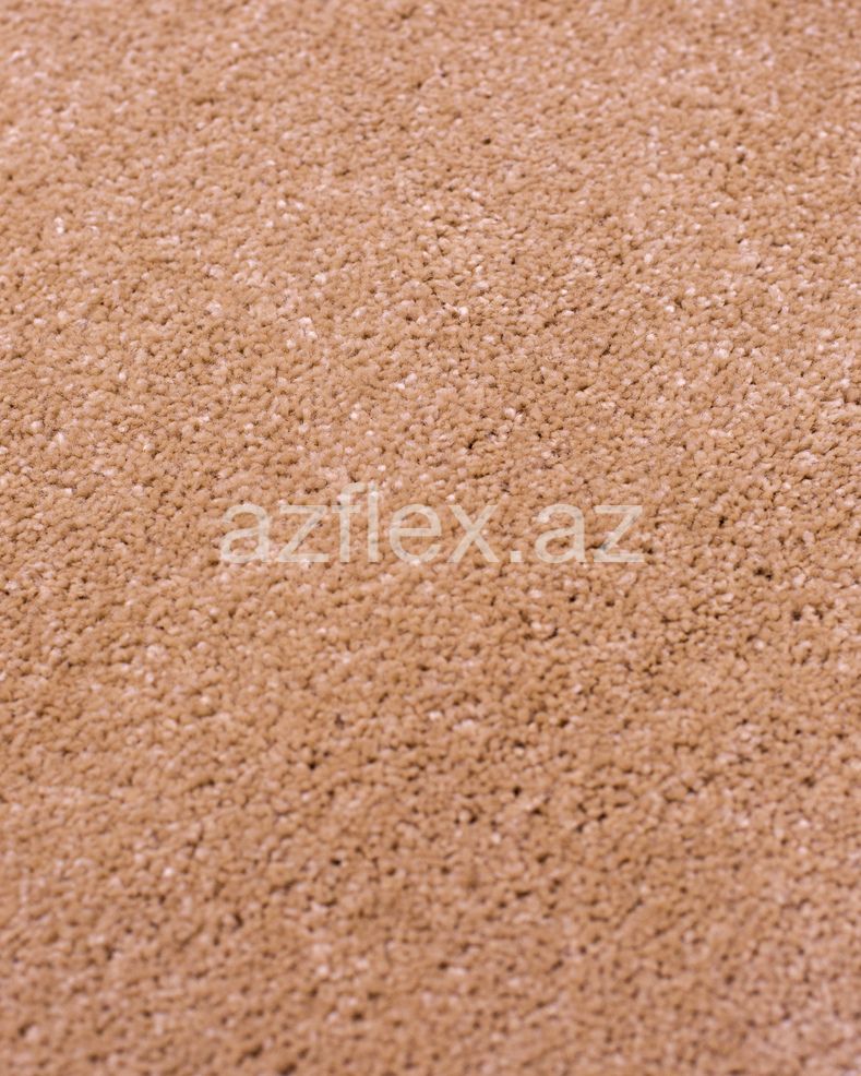 2010 BEIGE